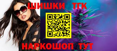 индика Обь