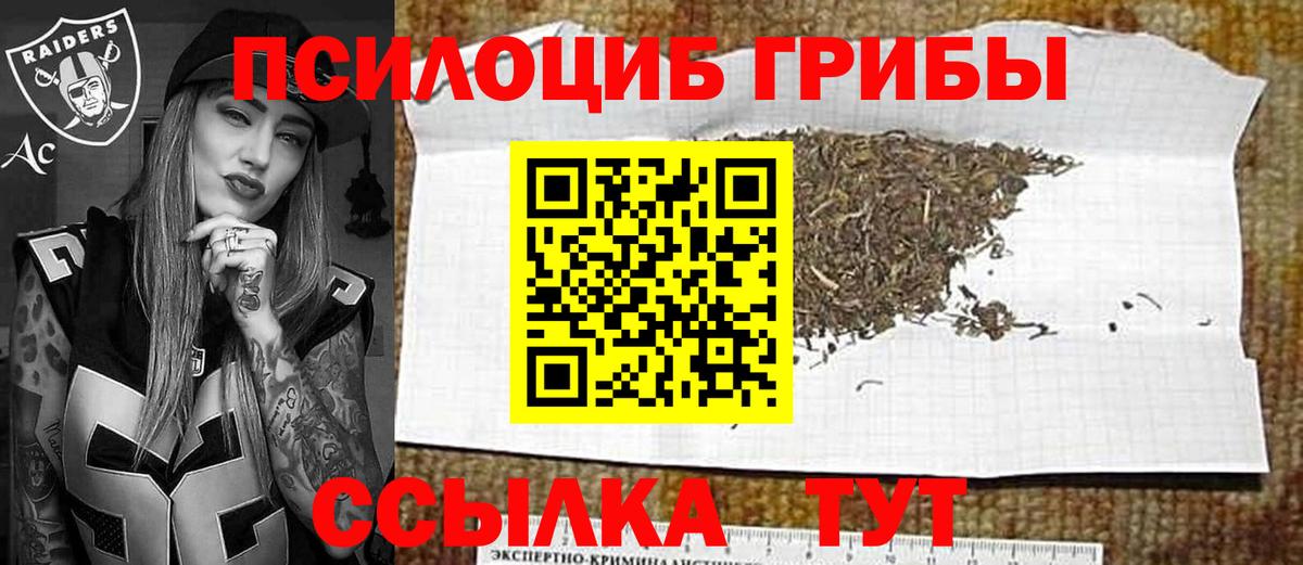 Стрежевой  Псилоцибиновые грибы Cubensis  Вход с VPN 