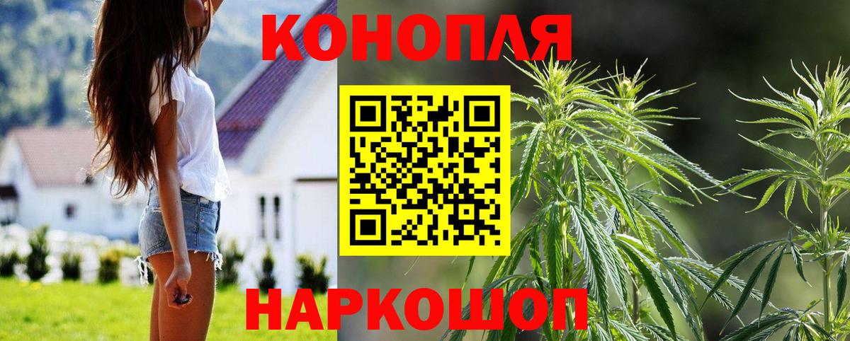 Бошки Шишки SATIVA & INDICA Стрежевой